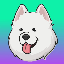 Samoyedcoin